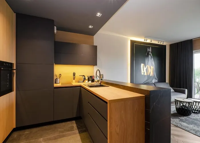 Lupoapartments Premium Z Klimatyzacja, Wanna W Sypialni Manufaktura Parking Dostep Na Kod * לודז'